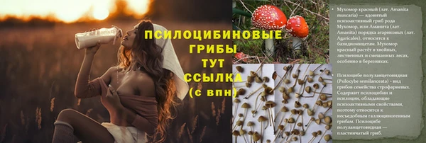 мяу мяу мука Нефтегорск