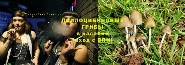 спайс Нея
