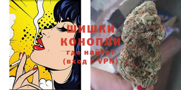 спайс Нея